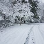 Road Covered with Snow