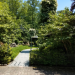 Garden with Road